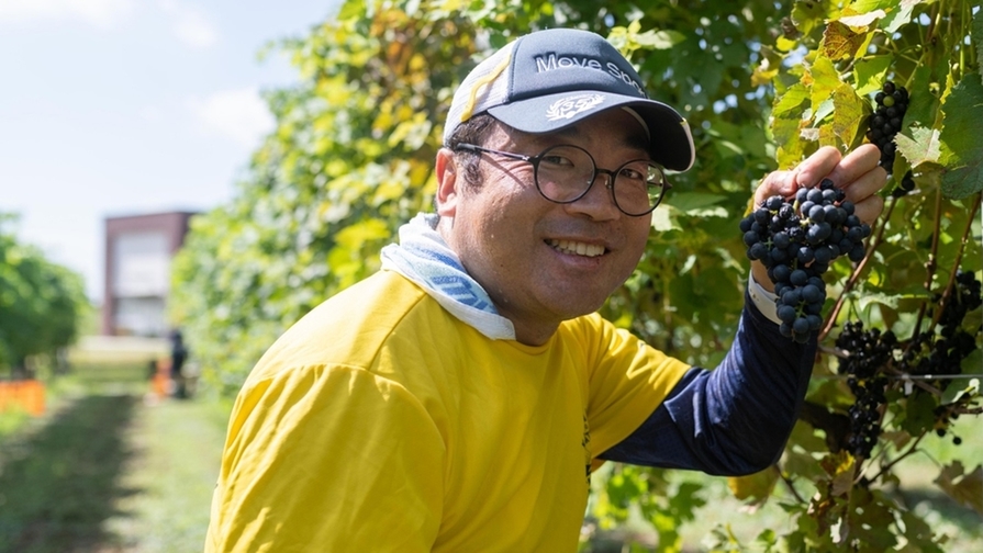 【食でつなぐSDGs】◆つくばのワイン2本プレゼント◆ つくばワイナリーからの贈り物